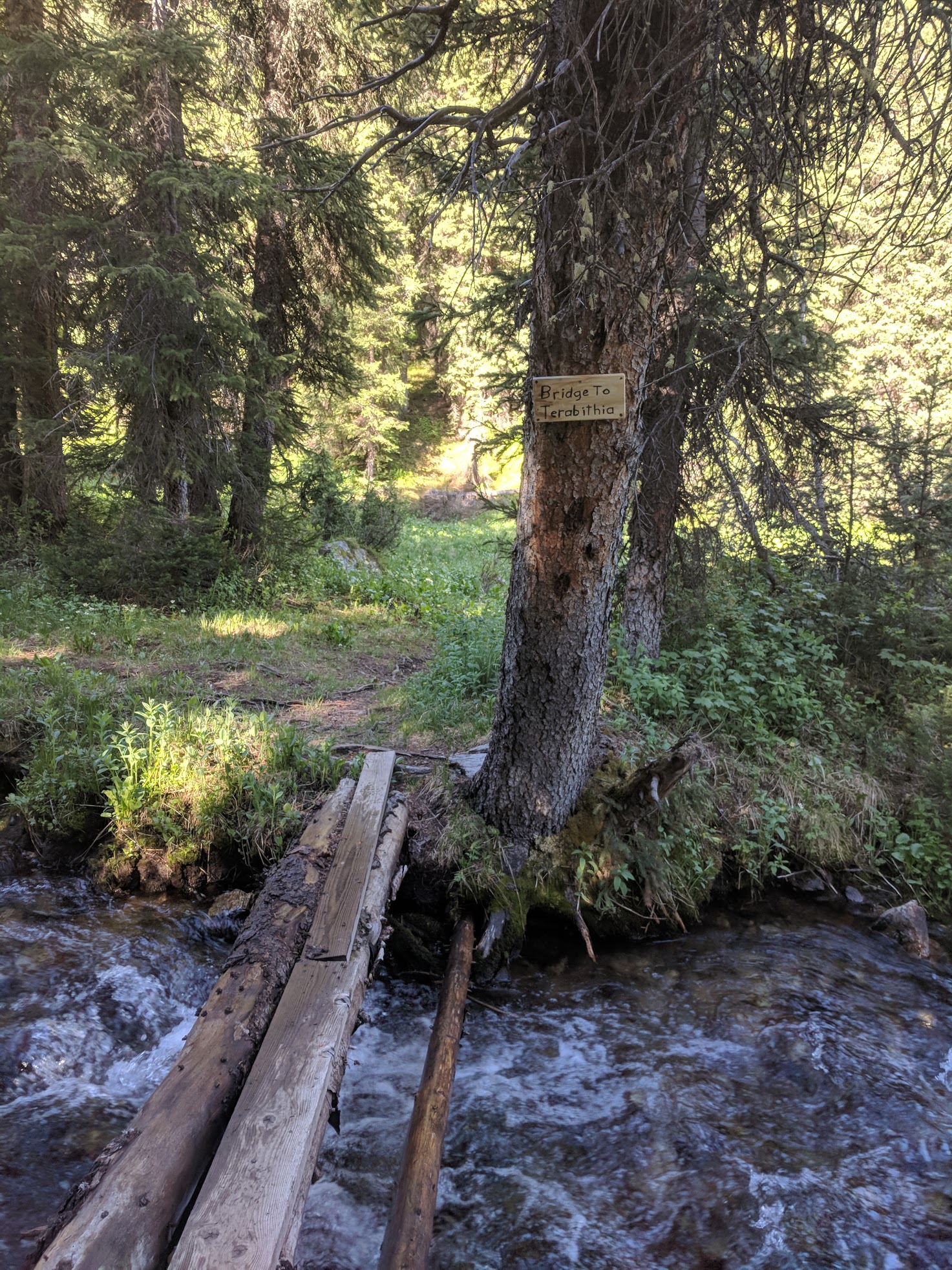 Just to the west of the road at the creek crossing is a small foot bridge with the signage 'Bridge to Terabithia'...saved us from the creek crossings.