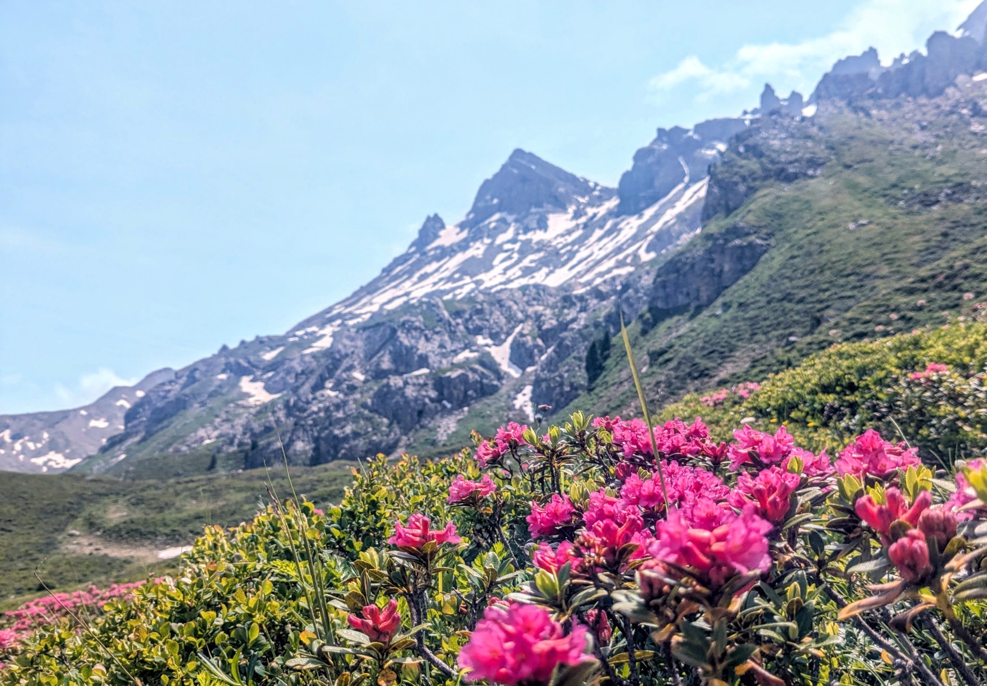 View from a hike