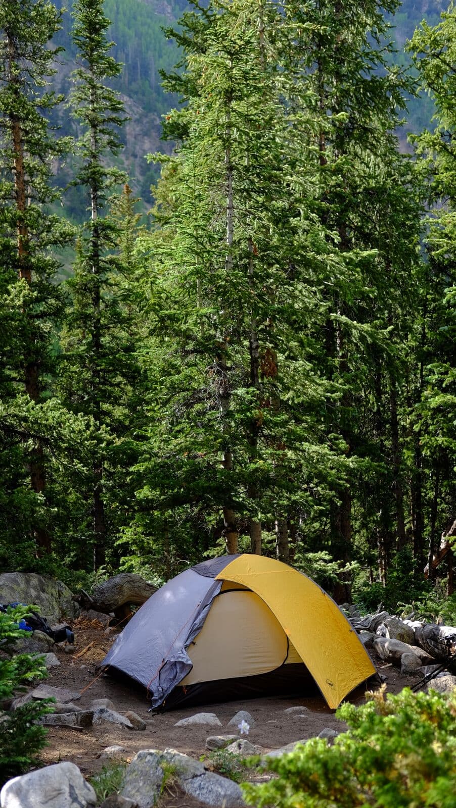 Perfect camp spot.