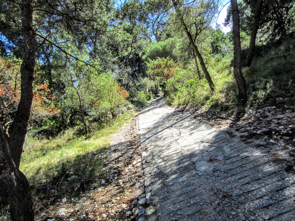 Path across from Palmizana Beach to Bacchus Restaurant.