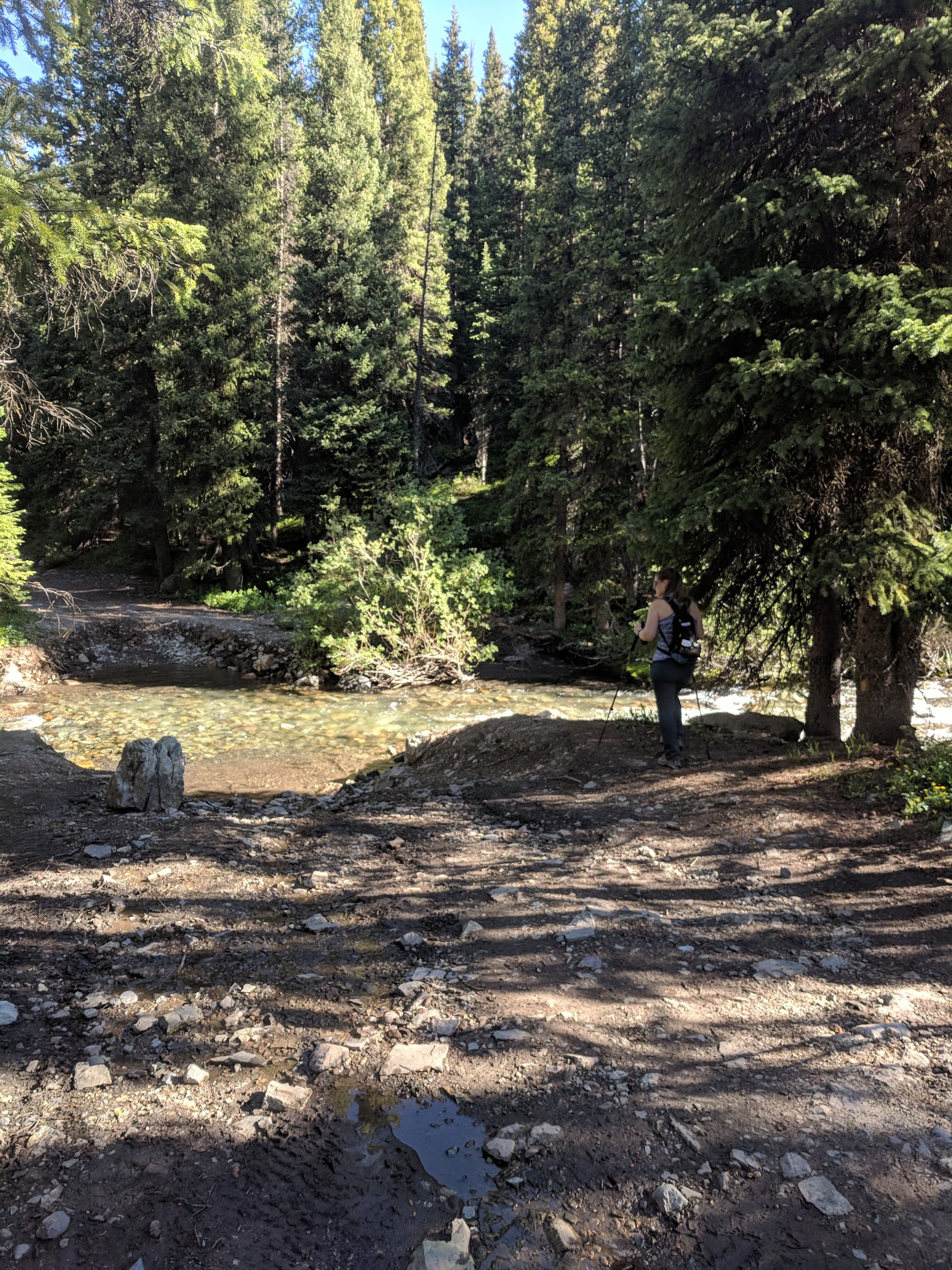 First creek crossing...Randi surveying the deep waters.